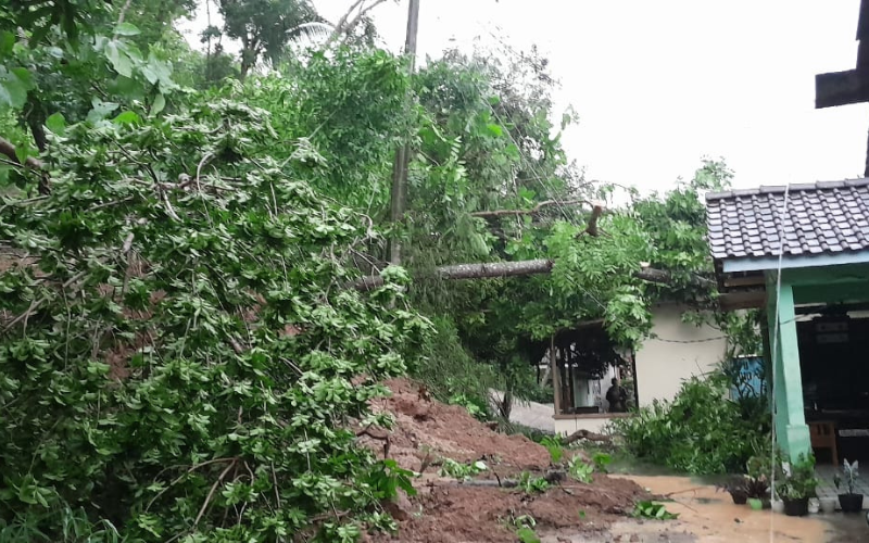 Bencana Longsor dan Banjir Terjadi di Kalurahan Pendoworejo Akibat Curah Hujan Tinggi